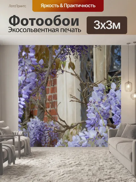 Фотообои Глициния окно