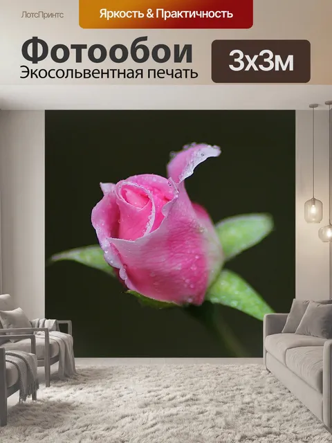 Фотообои Роза