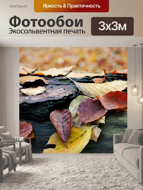 Фотообои Падение
