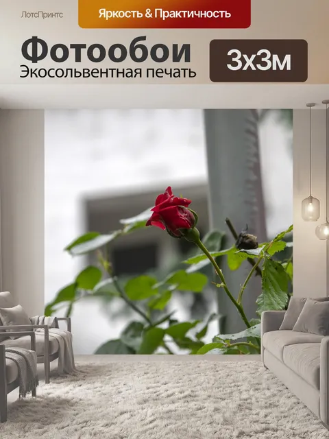 Фотообои Розы