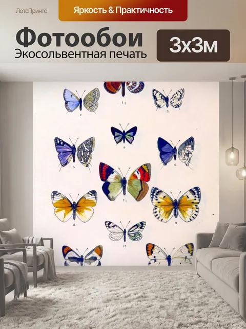 Фотообои Винтажная иллюстрация бабочки