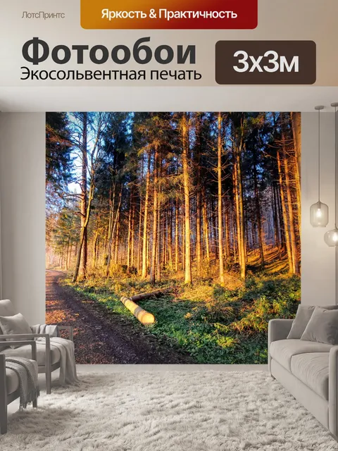Фотообои Дорожка