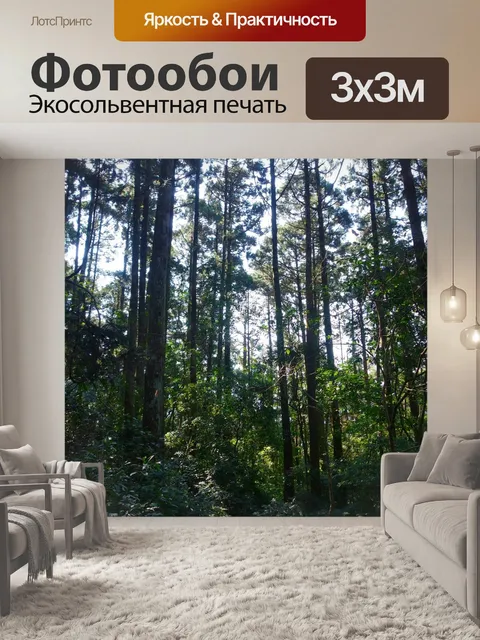 Фотообои Лес