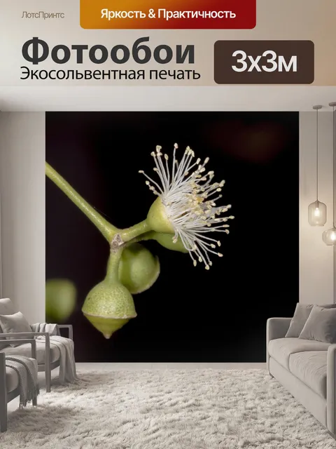 Фотообои Растения