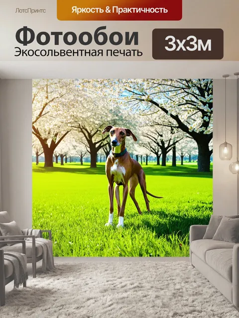 Фотообои изображение борзой, обучающейся в парке, среди ярких зеленых трав и цветущих деревьев, с солнечными лучами…