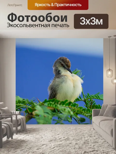 Фотообои Птица