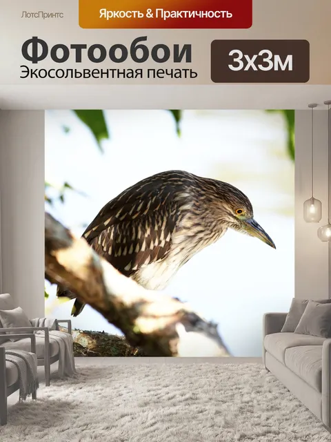 Фотообои Птица