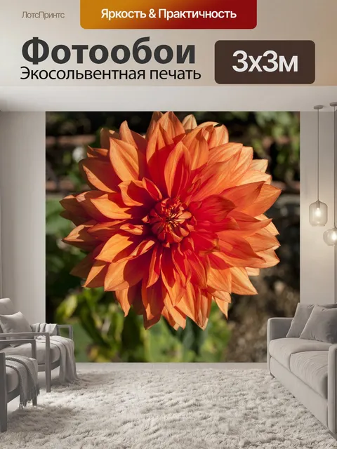 Фотообои Цветы