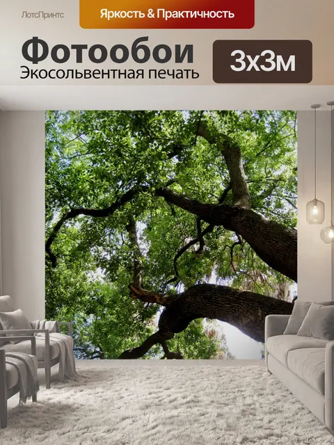 Фотообои великого старого дерева