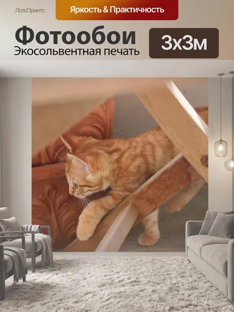 Фотообои Кот