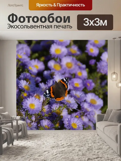 Фотообои Адмирал