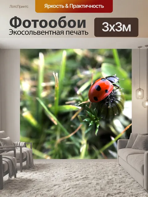 Фотообои Божья коровка