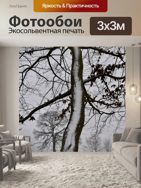 Фотообои Деревья