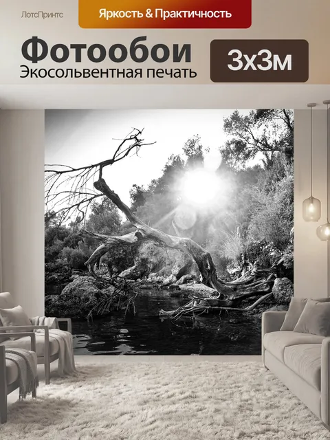Фотообои Черное и белое