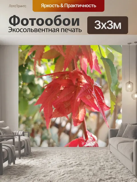 Фотообои Листья