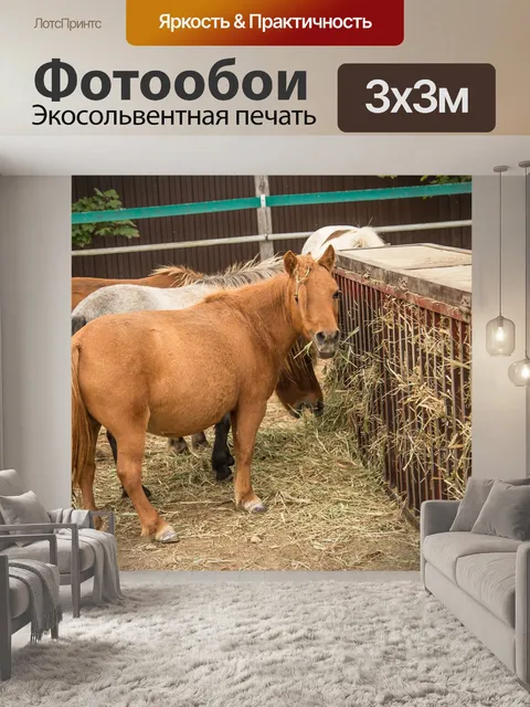 Фотообои Лошади