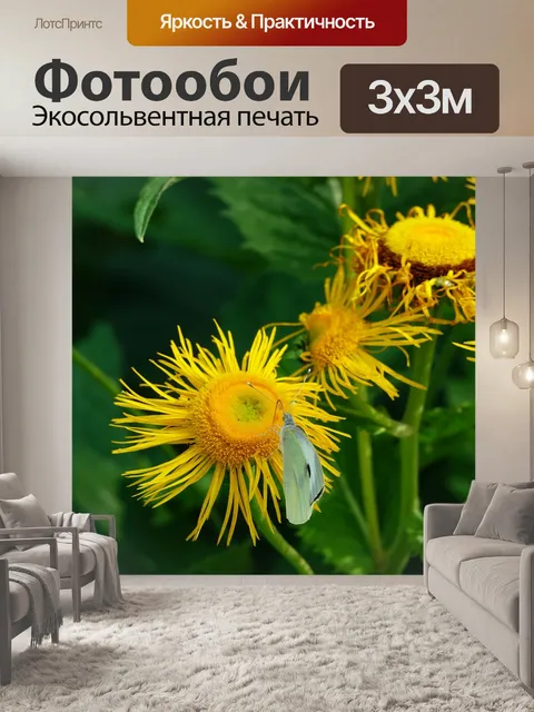 Фотообои Цветок