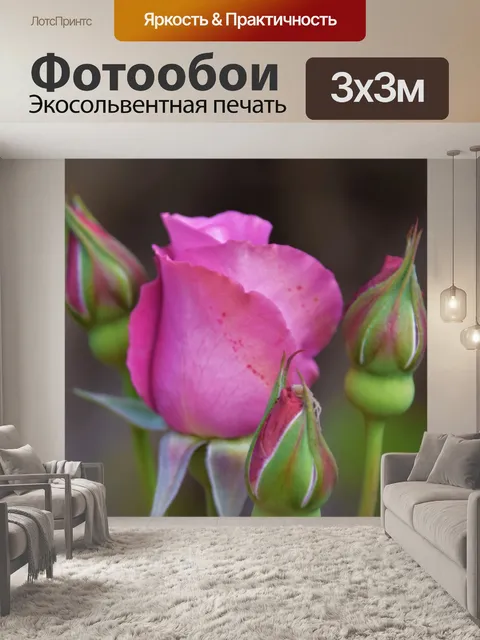 Фотообои Розы