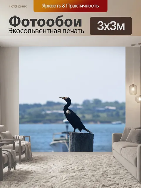 Фотообои Птица