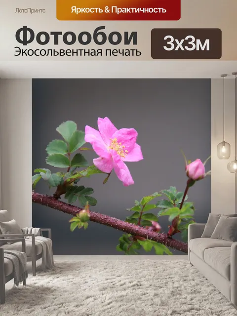 Фотообои Деревья