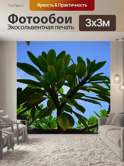 Фотообои Листья