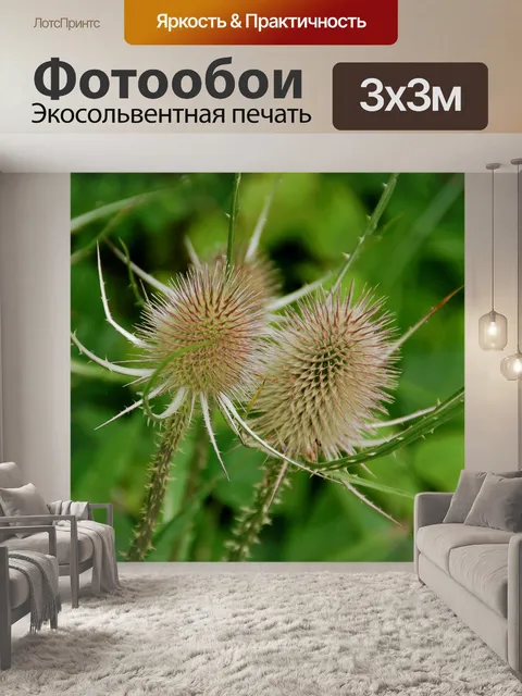 Фотообои Природа