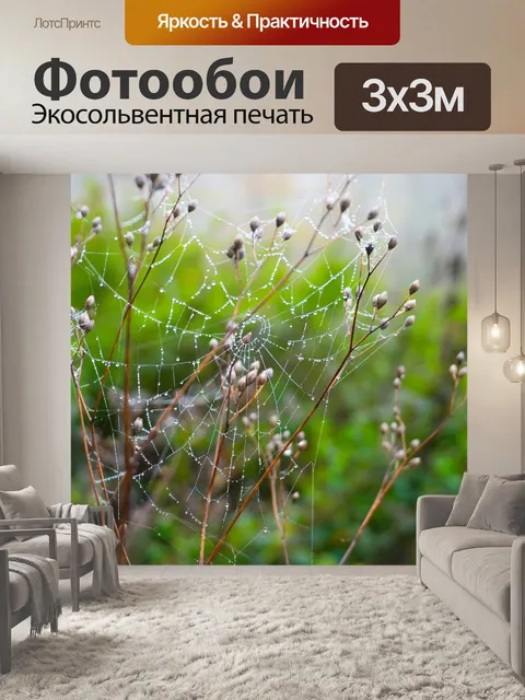 Фотообои Деревья