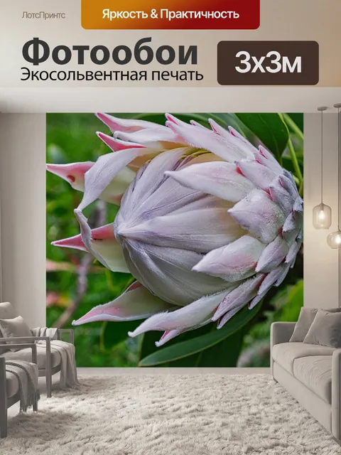 Фотообои Пейзаж