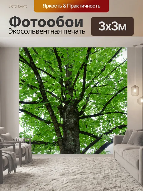 Фотообои Тюльпанное дерево
