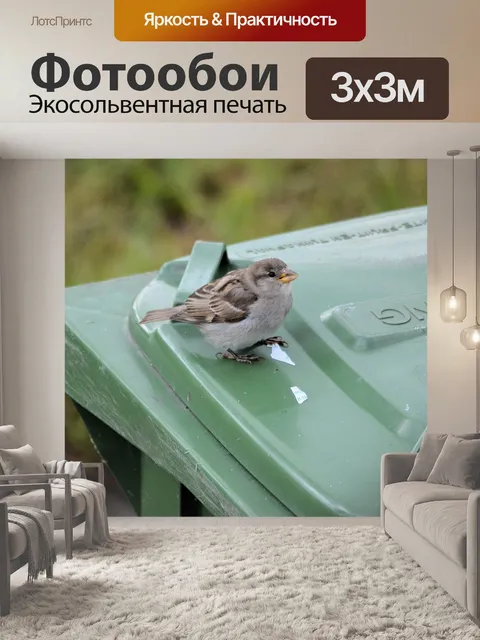 Фотообои Воробей