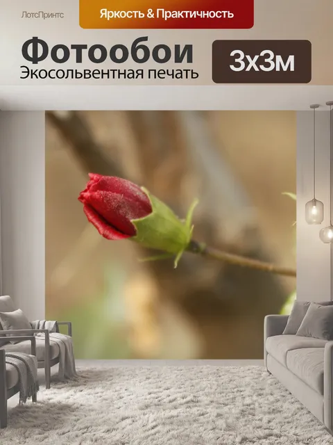 Фотообои Цветы