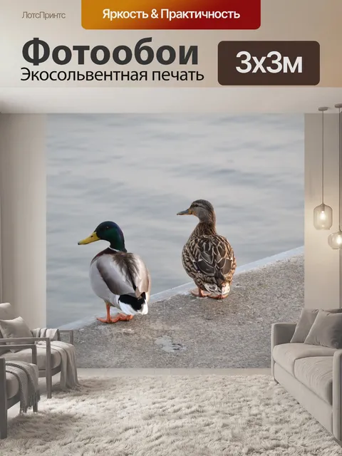 Фотообои Птица