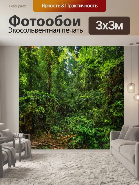 Фотообои лес с тропической растительностью, яркие листья и лианы, солнечное освещение