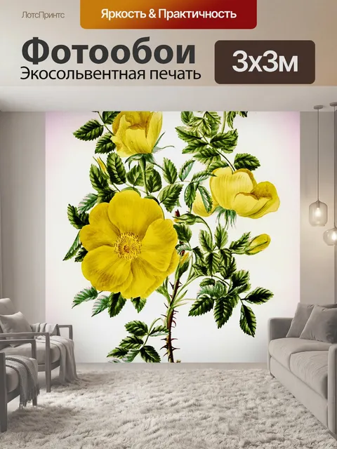 Фотообои Цветы