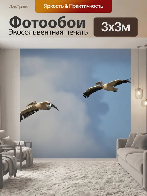 Фотообои Птицы