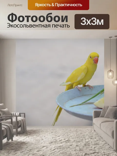 Фотообои Птица