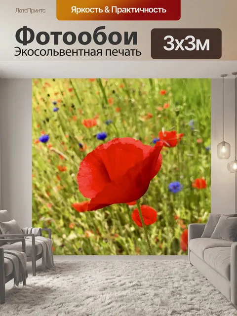 Фотообои Васильки
