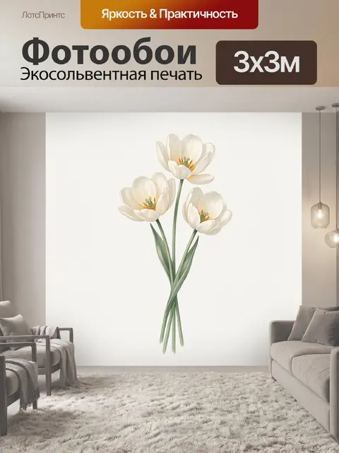 Фотообои Белые тюльпаны на светлом фоне