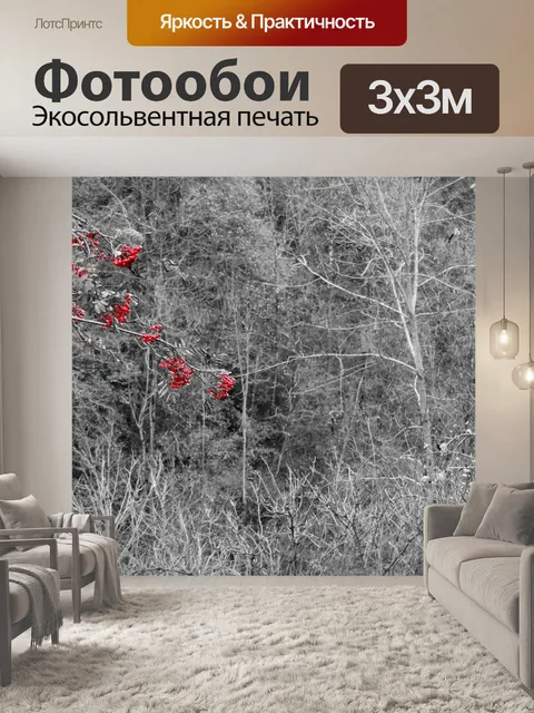 Фотообои Черно-белый