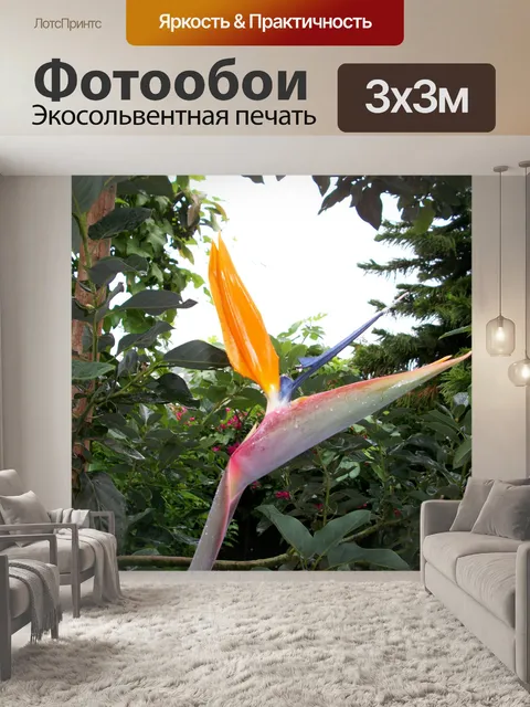 Фотообои Райская птица цветок