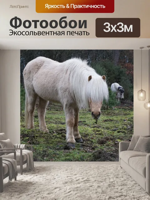 Фотообои Лошадь