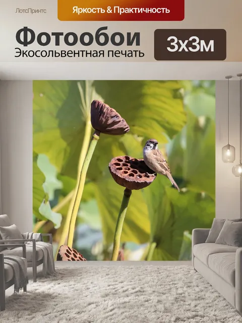 Фотообои Воробей