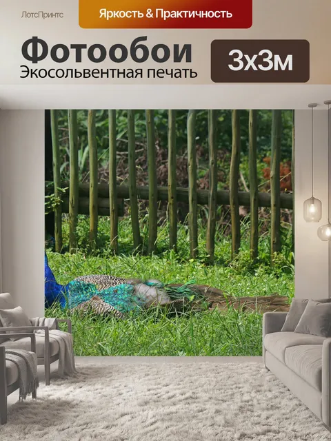 Фотообои павлин, сидящий в траве