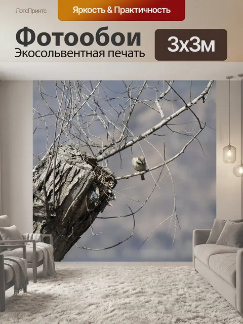 Фотообои Птицы