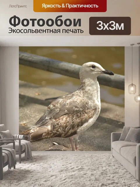 Фотообои Птица