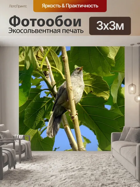 Фотообои Птица