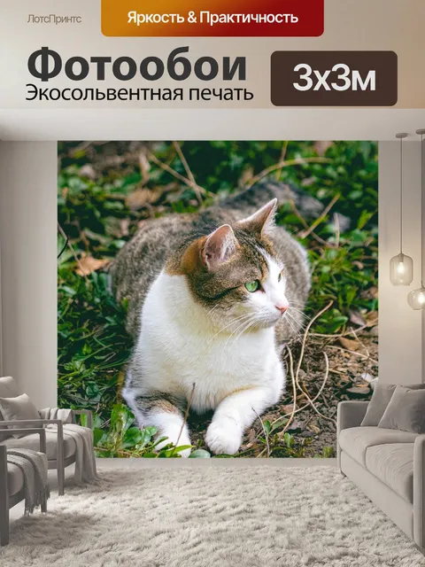 Фотообои Трава
