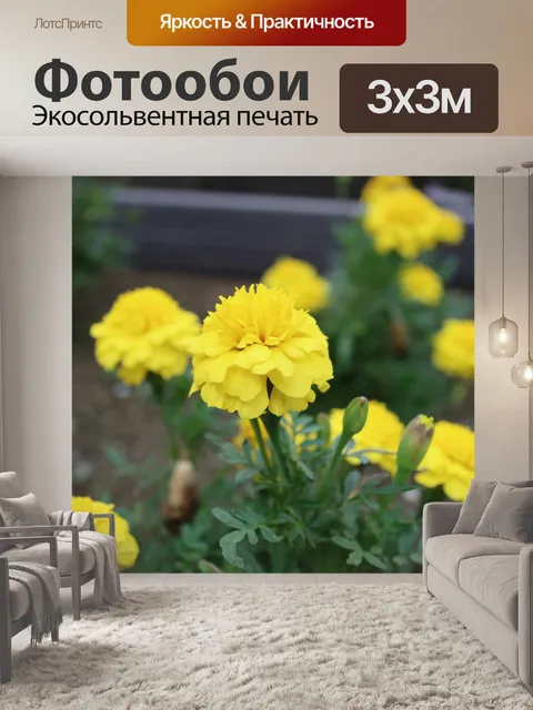 Фотообои Цветы