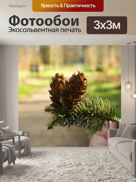Фотообои Спортивный
