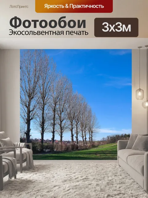Фотообои Тополя